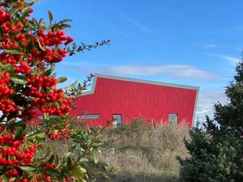 GYMNASE DU CFA ANDRÉ FARGIER